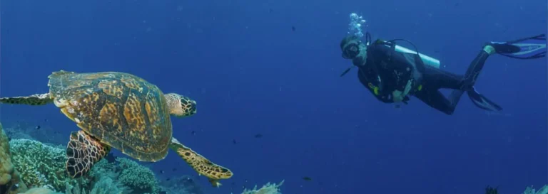 Bunaken and Surrounding Islands